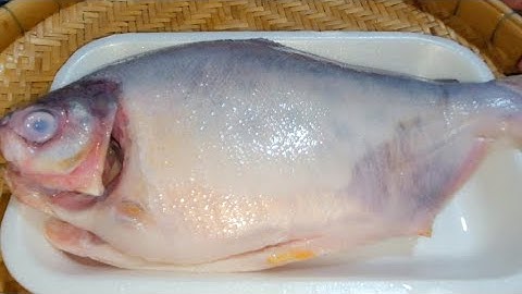 Bí quyết rã đông cá nhanh cấp tốc chỉ vài phút rất hiệu quả