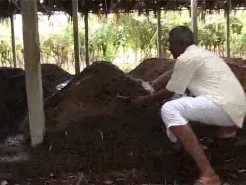 Organic Farming - A Success Story in Tamil Nadu, India