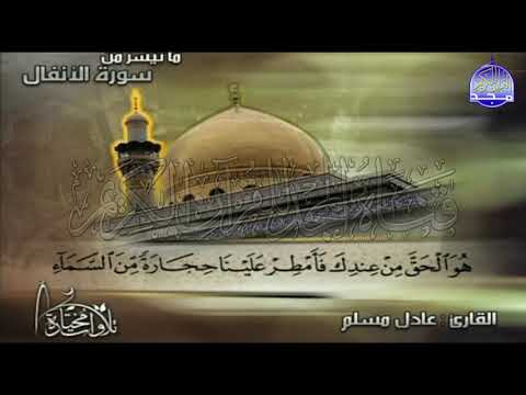 تلاوة رائعة من سورة الأنفال للقارئ الشيخ عادل مسلم من مختارات المجد HD