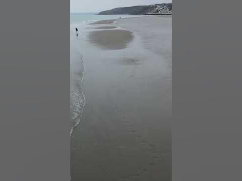 #Shorts 188. Чьи следы? Гигантские морские зайцы? 😉😂 Как вы думаете ...
