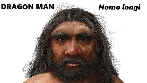 NEW ANCIENT HUMAN DISCOVERIES UPEND THE HISTORY OF NEANDERTHALS, DENISOVIANS, HOMO SAPIENS, & MORE!