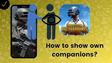 How to show own companions on PUBG Mobile?