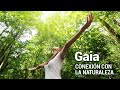 GAIA, Música 432 hz Para Sanar el Cuerpo y Alma, CONEXION CON LA NATURALEZA, Energias Positivas