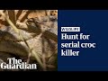 Crocodiles decapitated: serial wildlife killer investigated in north Queensland