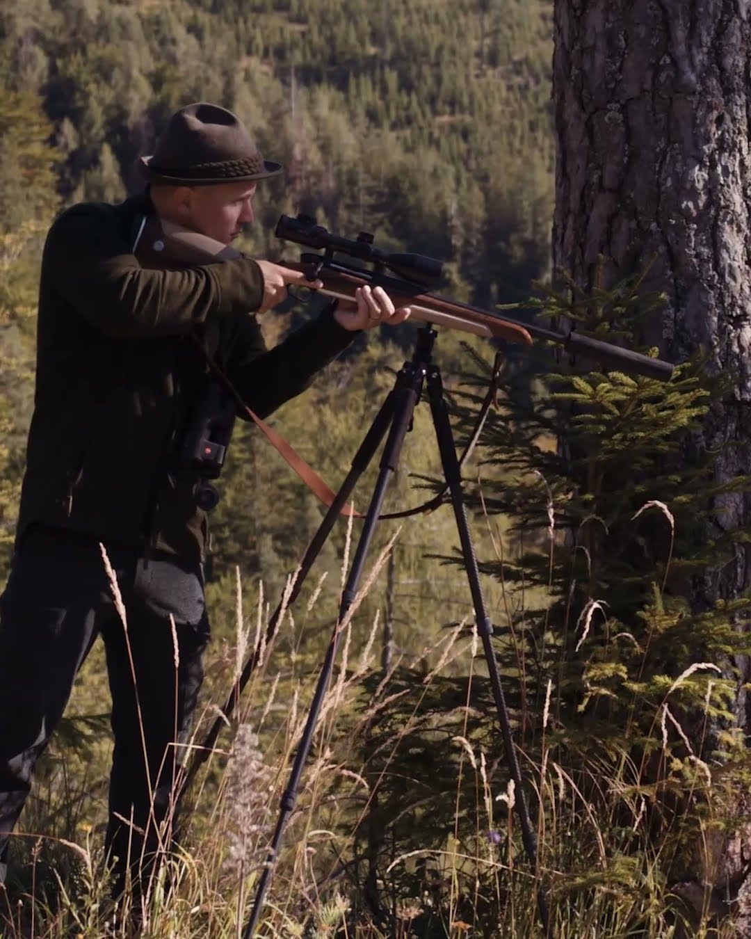 BOCKJAGD 2024 I Der abnorme und der Jährling I Roebuck hunting in Germany