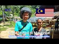Jago 185 mengunjungi orang asli malaysia di taman negara pahang