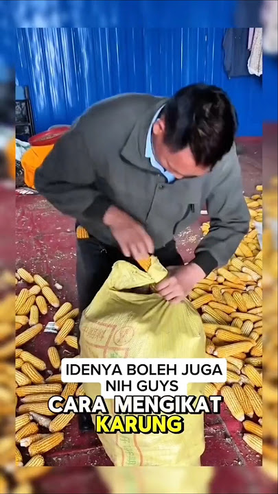 Baru Tahu! Karung Bisa Diikat Pakai Jagung, Gimana Caranya?
