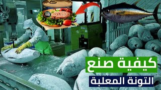 جولة مذهلة داخل مصنع التونة،? من السمكة حتى التعليب ?(صناعة التونة)