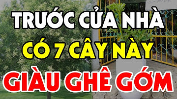 Cứ Trồng 7 Cây Này TRƯỚC CỬA NHÀ Sau 1 Đêm TIỀN BẠC Ùn Ùn Kéo Vào, Gia Chủ Giàu Có Hết Phần Thiên Hạ