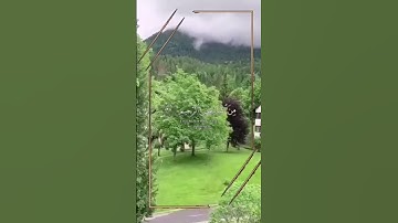 قرآن كريم ارح سمعك وقلبك 🌿سورة النحل 🌿