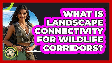 What Is Landscape Connectivity For Wildlife Corridors? - The Wild Life Explorer