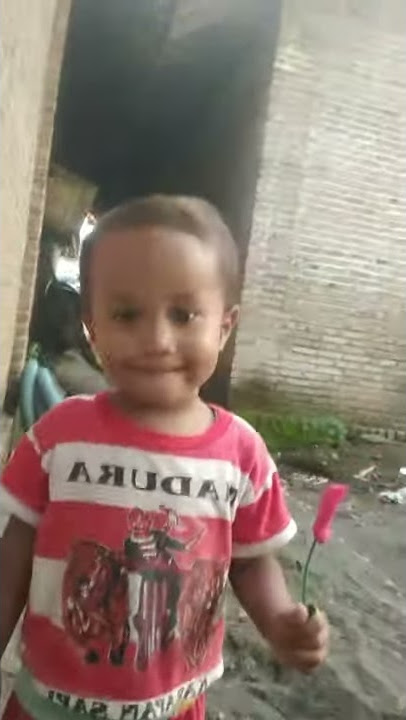 Tarik ses semongko