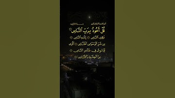سورة الناس🤍#قرآن #فولو #قران_كريم #راحة_نفسية #اكسبلورفولو #لايك #اكسبلور #حالات_واتس #قرانكريم