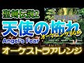 【聖剣伝説2】天使の怖れをオーケストラで/オープニングBGM 【SECRET OF MANA】-Angel's Fear- Orchestral Cover