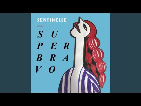 Superbravo — Chanteur