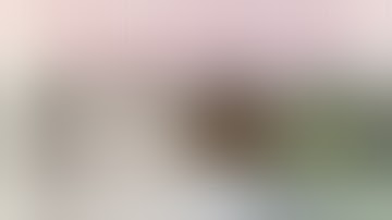 Questions to Ask When Selecting a Cannabis Strain To Grow