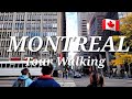Montreal City Walking Downtown