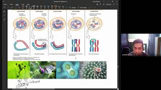 Cell Cycle-Mitosis and Meiosis, Basics of Oncology screenshot 5