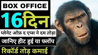 Kingdom Of The Planet Of The Apes Box Office Collection Day 16 | #kingdomoftheplanetoftheapes