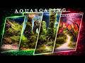 Aquascaping Contest Aqua-Expo  2026 #aquaristik #aquascaping 