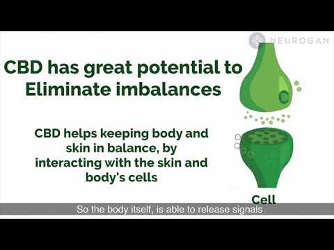 CBD or hemp seed oil in skin care products, see the difference
