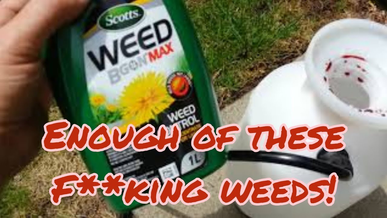 Halifax Beautiful Lawns: Product Review Scotts Weed B Gon Max Easily remove weeds. You won't believe
