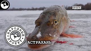 Первый лёд. Рыбалка в Астрахани | Народный проект ©