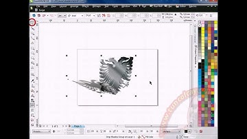 coreldraw 3D 3 boyut by tunc olcay