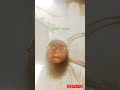 #qurantranslation #newsongnewsong #shortsfeed #birds #islamicgreeting #madinalivetodaynow #shortvid