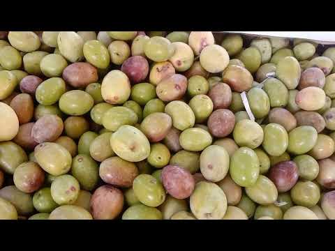 استقرار اسعار الخضار والفواكه و الأسماك في سوق العبور