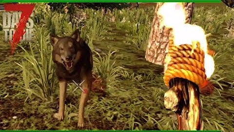 My 1st Alpha 20 Experience (7 Days to Die)