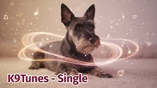🌸 K9Tunes:  I love dogs  – Original Healing Music for Dogs & Humans 🌸 screenshot 1