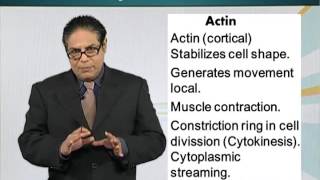 Topic 21 (BIO201 - Cell Biology)