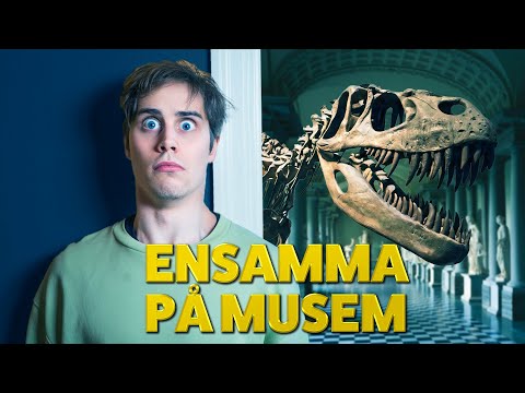 Video: Tillbringa Natten I Ett Museum