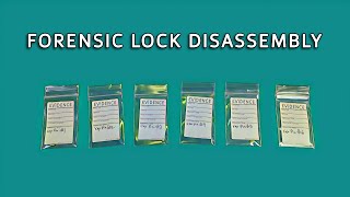 Forensic Lock Disassembly