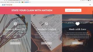 ANTHEM - Blurb Styling - Divi Child Theme