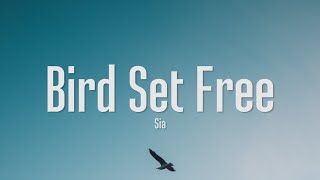 Bird Set Free - Sia (Lyrics)