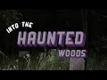 Into the Haunted Woods