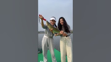 em cần thủ xinh đẹp lấy cá vào quán ăn đổi nồi lẩu gà ăn gặp chị chủ tốt bụng và cái kết  #fishing