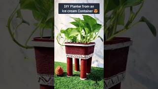 From Dessert to Decor 😍Transform your Amul ice cream tub into a charming DIY planter #shorts #viral
