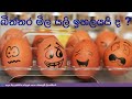 Eggs Price | Sri Lanka News | NMLIN