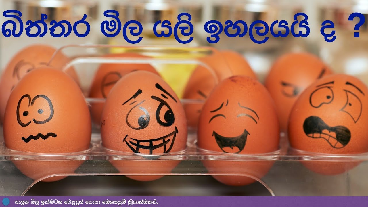 Eggs Price Sri Lanka News NMLIN YouTube