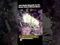 Join Us LIVE from the Tucson Gem &amp; Mineral Shows! WhatNot, TikTok &amp; More!