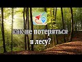 Как не заблудиться в лесу, обзор программы Геотрекер | Review the program Geotreker | как сделать