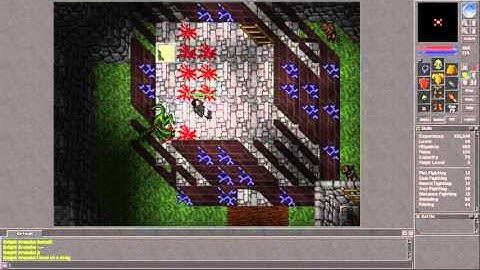 Tibia [7.3] Level 40 EK solo Dragon