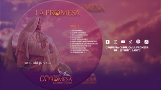 Miniatura del video "Está Pasando por Ahí | Orquesta Católica La Promesa del Espíritu Santo | Vol. 1 🕊️"