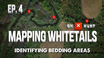 Part 4 - Mapping Public Land Whitetails | Identifying Bedding Areas