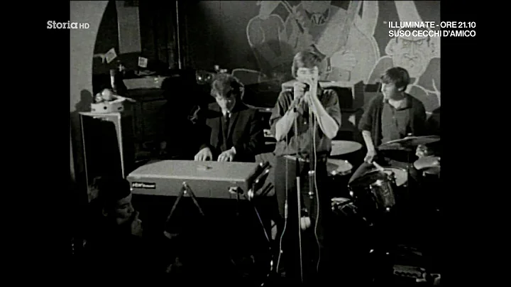 Video 11900711: british blue