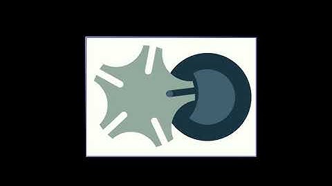 Geneva Mechanism using CorelDraw