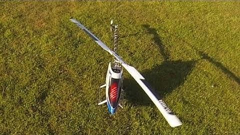 TREX 700E 3D - 1st may 2013